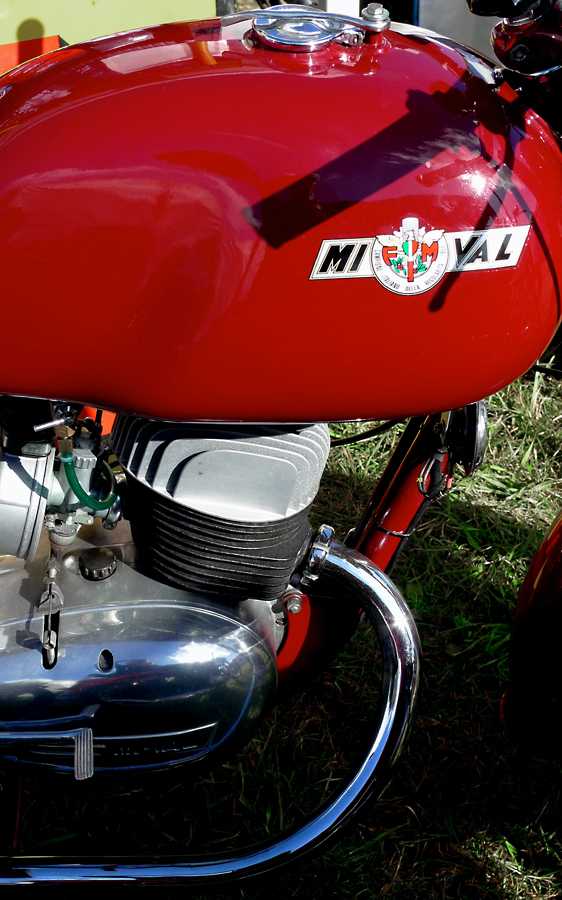 L1010196.JPG - The first Mival I've ever seen and the seller had a parts bike with it.